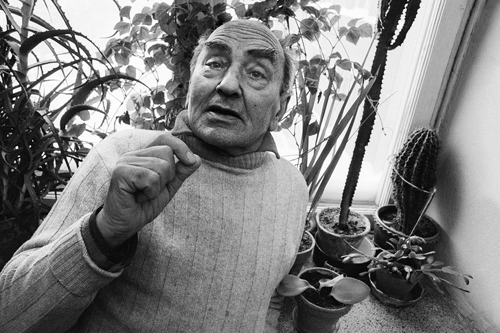 Alfons Karny "Migawki" (25)